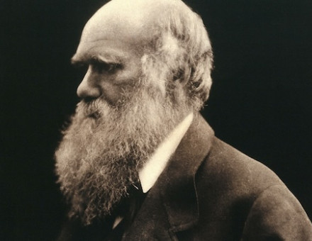 Charles Darwin, photographed by Julia Margaret Cameron, 1868. Wellcome Collection. Public Domain.