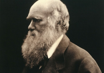 Charles Darwin, photographed by Julia Margaret Cameron, 1868. Wellcome Collection. Public Domain.