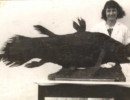 Marjorie Courtenay-Latimer and coelacanth, c.1938.