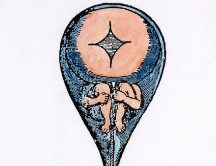 A homunculus inside human sperm, from Niklass Hartsoeker’s ‘Essay de Dioptrique’, 17th century. Granger/Bridgeman Images.