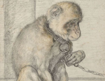 ‘A Seated Monkey on a Chain’, Hendrick Goltzius, 1592-1602. Rijksmuseum, Amsterdam. Public Domain.